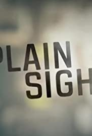 In Plain Sight (2018) carátula