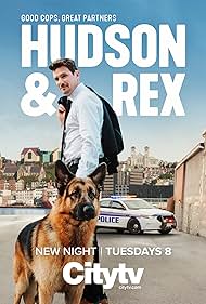 Hudson & Rex (2019) cover