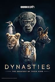 Dinastías (2018) cover