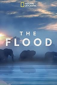 The Flood (2018) copertina