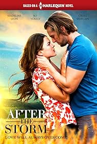 After the Storm (2019) cover