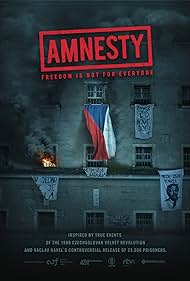 Amnestie (2019) cover