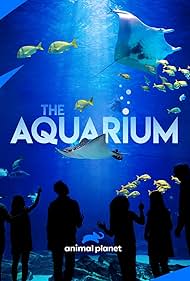 The Aquarium (2019) cobrir