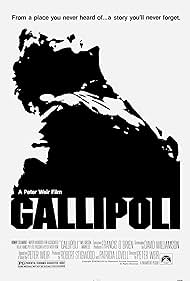 Gallipoli (1981) cover