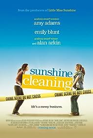 Günışığı temizleme şirketi (2008) cover