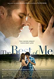 The Best of Me - Mein Weg zu dir (2014) cover