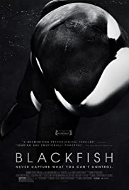Blackfish (2013) cover