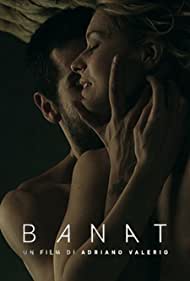 Banat - Il viaggio (2015) cover